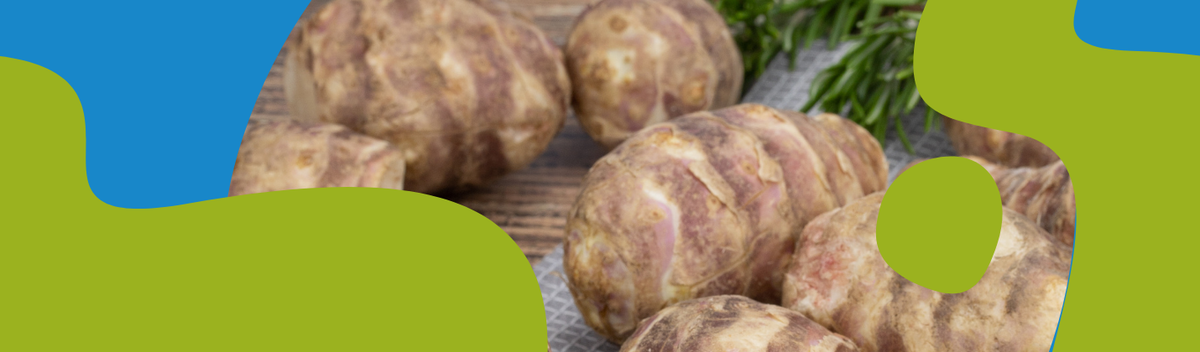 Jerusalem Artichoke – Benefits & Uses