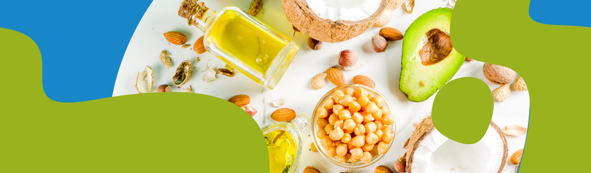 Plant Fats vs Animal Fats – Complete Guide